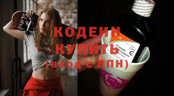 мдпв Гусь-Хрустальный
