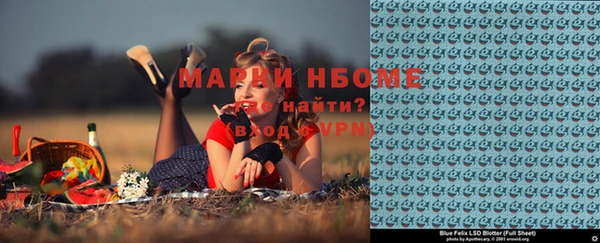 мдпв Гусь-Хрустальный