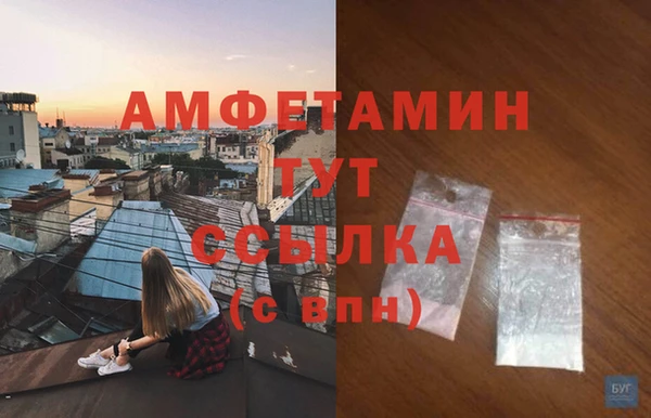 мдпв Вяземский